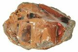 Ethiopian Chocolate Opal Nodule - Yita Ridge #211268-1